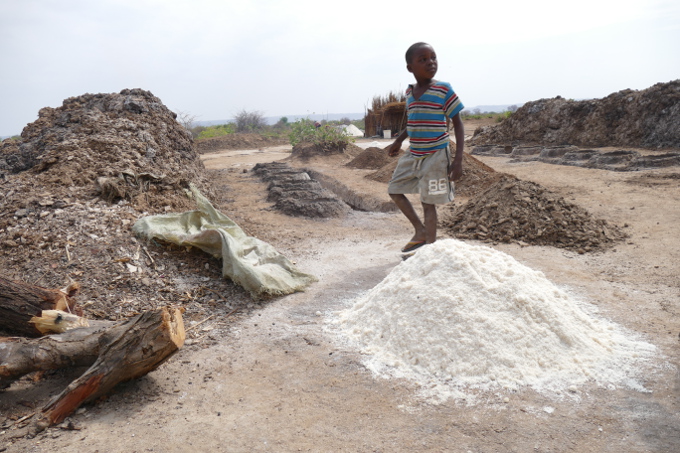 Alternative methods for salt mining are explored to avoid further deforestation - photo: Samuel Fournet